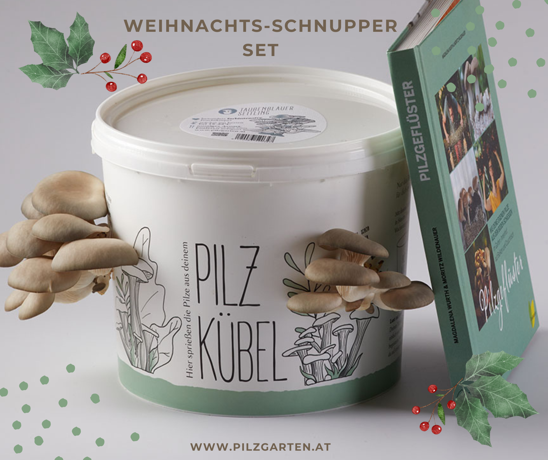 Weihnachts- Schnupper- Set